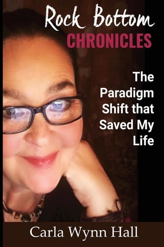 Rock Bottom Chronicles The Paradigm Shift That Saved My Life