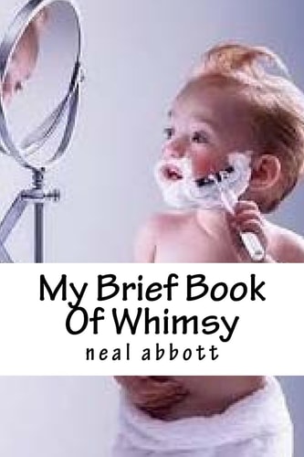 My Brief Book Of Whimsy