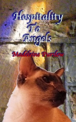 Hospitality To Angels