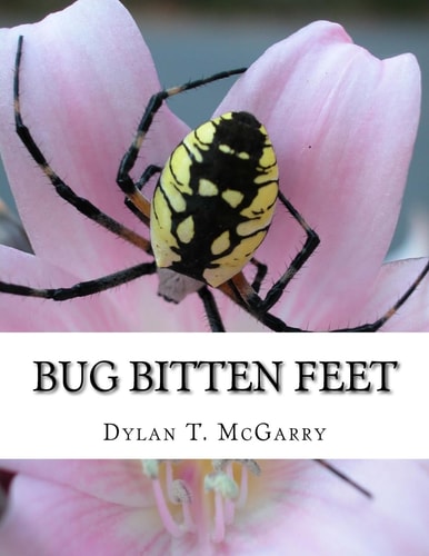 Bug Bitten Feet