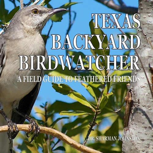 Texas Backyard Birdwatcher A Field Guide to Feathered Friends