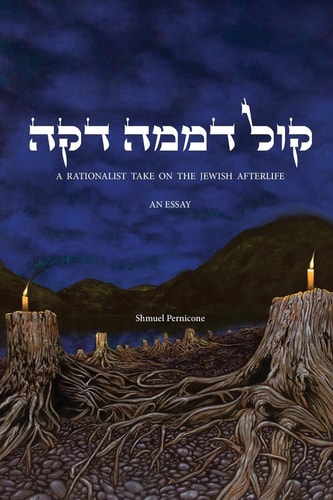 Kol D'mamah Dakah A Rationalist Take on the Jewish Afterlife