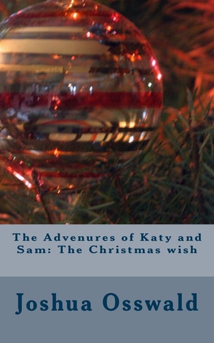 The Advenures of Katy and Sam The Christmas Wish