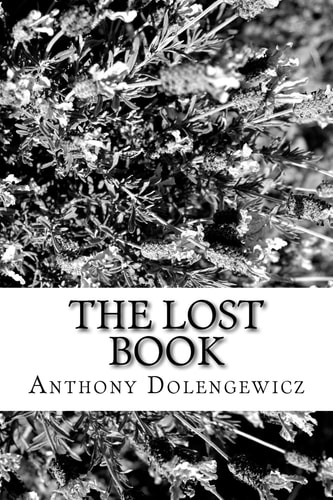 The Lost Book