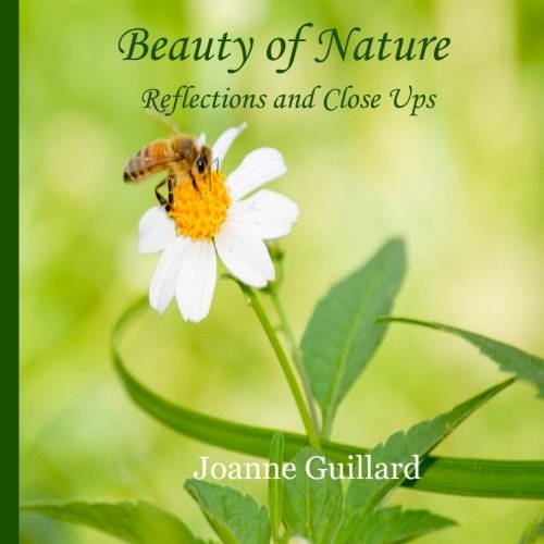 Beauty of Nature Reflections and Close Ups