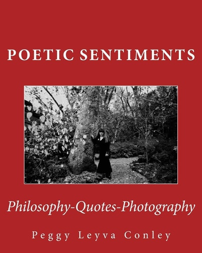 Poetic Sentiments Philosophy - Quotes - Photography