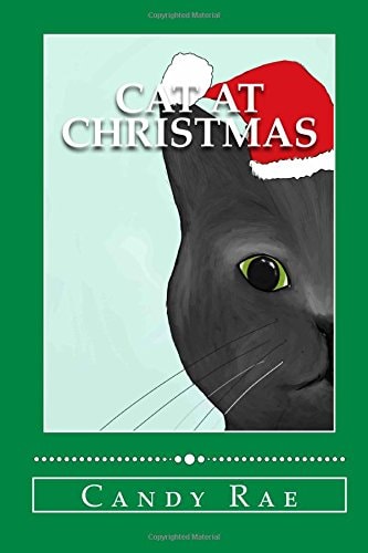 Cat at Christmas