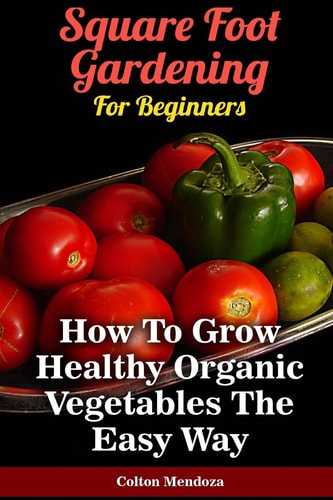 Square Foot Gardening For Beginners How To Grow Healthy Organic Vegetables The