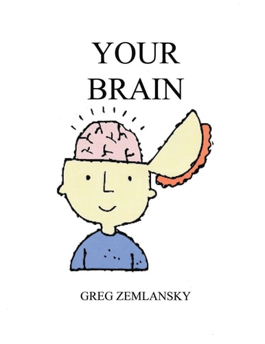 Your Brain