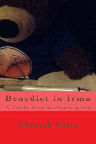 Benedict in Irma A Teddy Bear Hurricane Party
