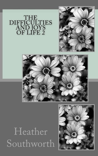The Difficulties and Joys Of Life 2