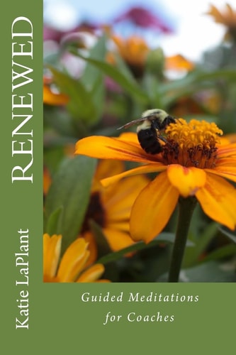 Renewed Guided Meditations for Coaches