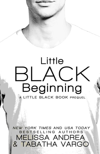 Little Black Beginning A Little Black Book Prequel