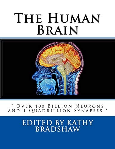 The Human Brain Over 100 Billion Neurons and 1 Quadrillion Synapses