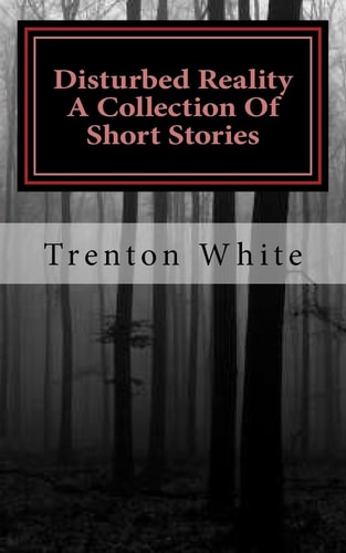 Disturbed Reality A Collection Of Short Stories