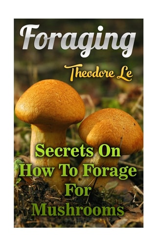 Foraging Secrets On How To Forage For Mushrooms