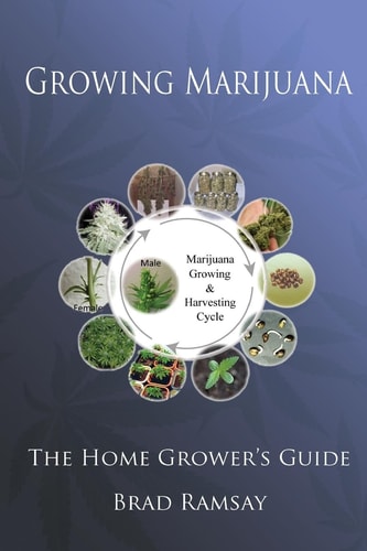 Growing Marijuana The Home Grower's Guide