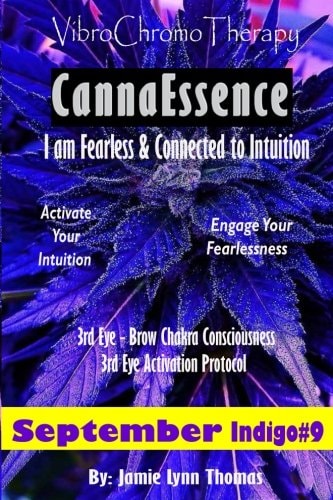 VibroChromoTherapy Indigo Activate Your Fearless Intuition