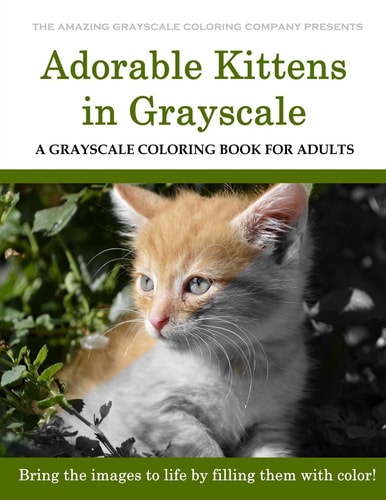 Adorable Kittens A Grayscale Coloring Book for Adults