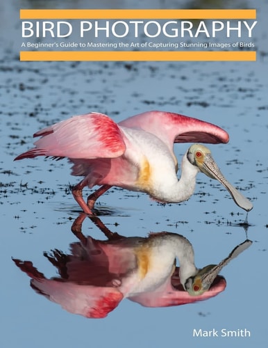Bird Photography A Beginner's Guide to Mastering the Art of Capturing Stunning Images of Birds