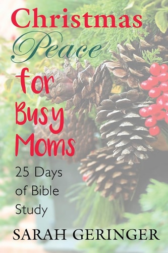 Christmas Peace for Busy Moms A 25-Day Bible Study