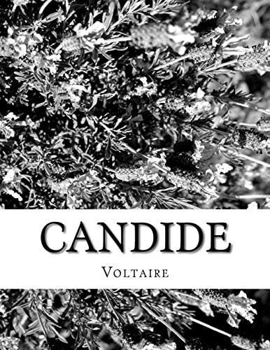Candide