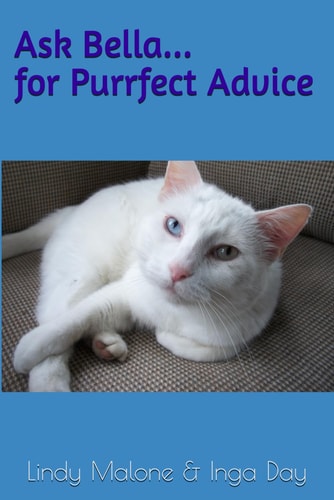 Ask Bella... for Purrfect Advice