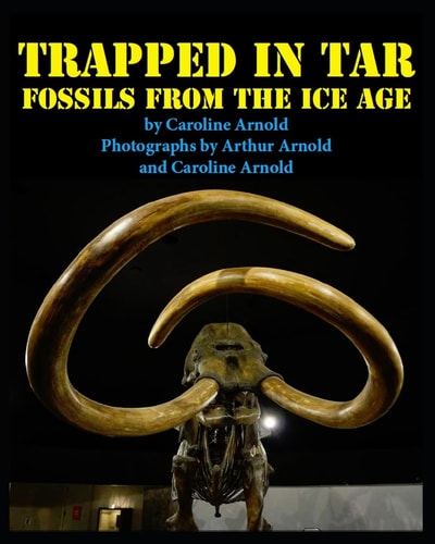 Trapped in Tar Fossils from the Ice Age