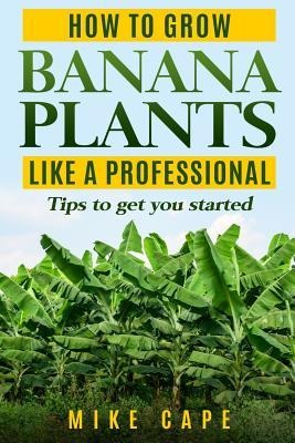 How to grow Banana Plants like a Professional: Beginners guide and tips to get you started
