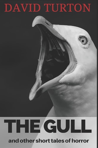 The Gull And Other Short Tales of Horror