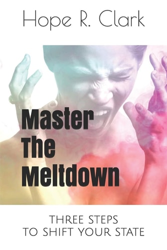 Master The Meltdown Three Steps to Shift Your State