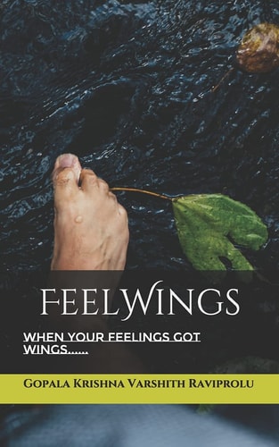 FeelWings When Your Feelings Got Wings... ...