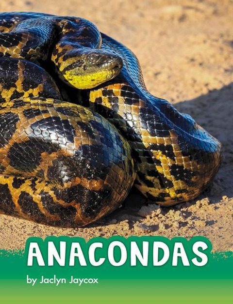 Anacondas