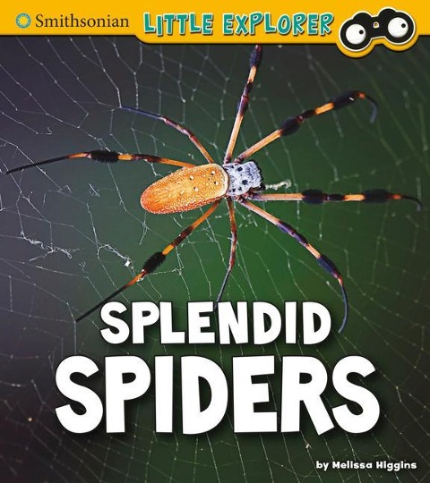 Splendid Spiders