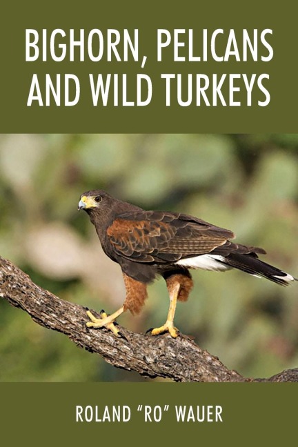 Bighorn, Pelicans and Wild Turkeys
