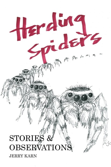 Herding Spiders: Stories & Observations