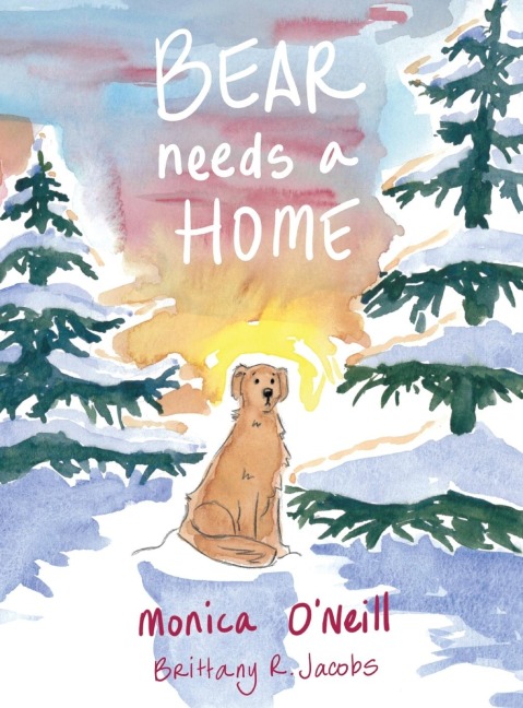 Bear Needs A Home