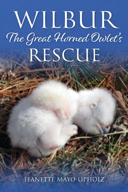Wilbur: The Great Horned Owlet's Rescue