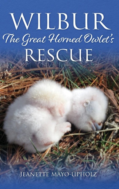 Wilbur: The Great Horned Owlet's Rescue