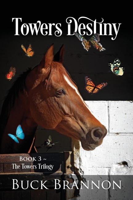 Towers Destiny: Book 3 ~  The Towers Trilogy