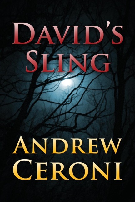 DAVID'S SLING