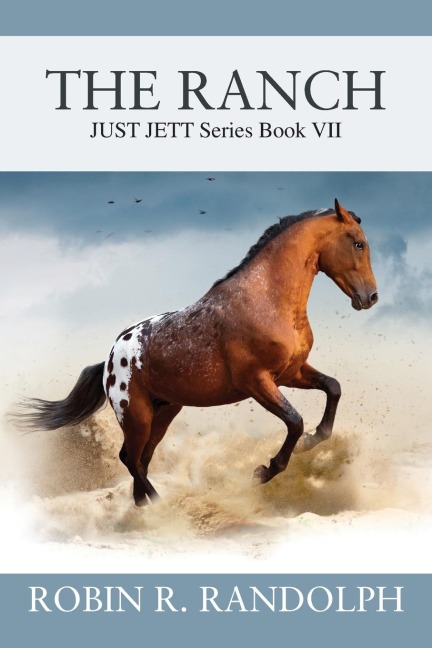 THE RANCH: JUST JETT Series Book VII