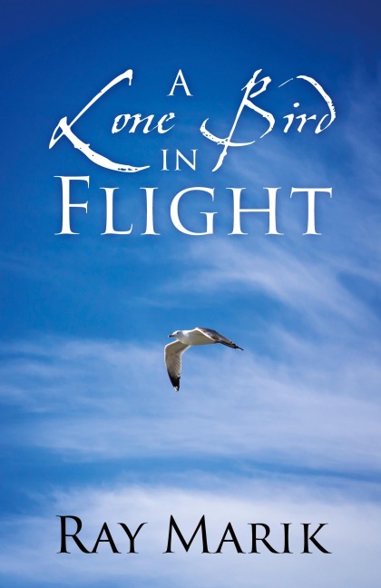 A Lone Bird in Flight