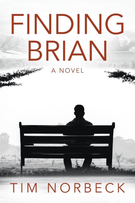 Finding Brian: A novel