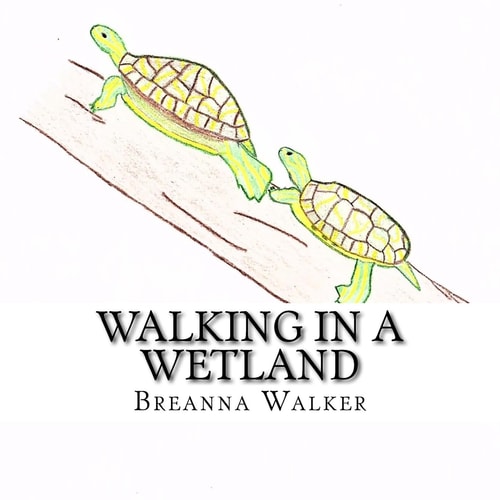 Walking in a Wetland