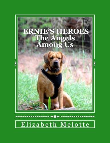 Ernie's Heroes The Angels Among Us