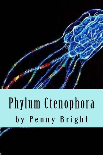 Phylum Ctenophora