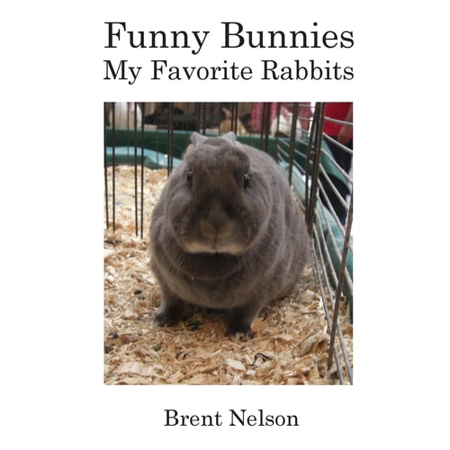 Funny Bunnies My Favorite Rabbits