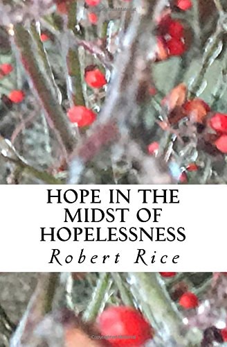 Hope in the Midst of Hopelessness Advent Devotions from the Book of Ruth