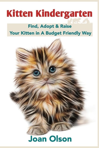 Kitten Kindergarten Find, Adopt and Raise Your Kitten in a Budget Friendly Way